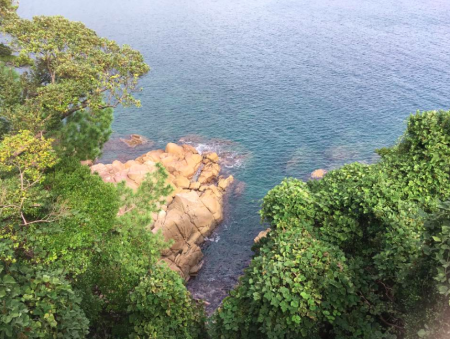 地磯から肝ぱんカワハギとイシダイ